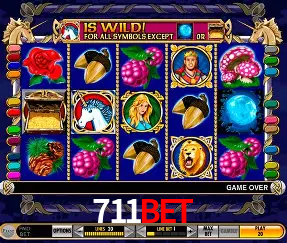 Descubra o Mundo do Cassino Online com 711bet